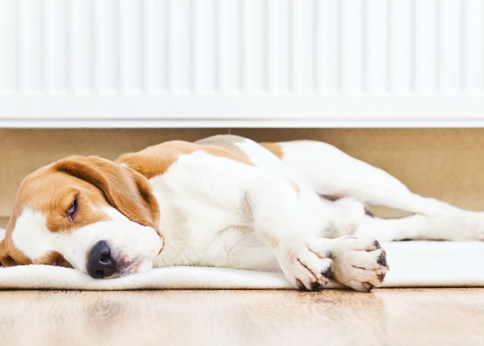 Read more about the article New Boiler Installation – FAQ